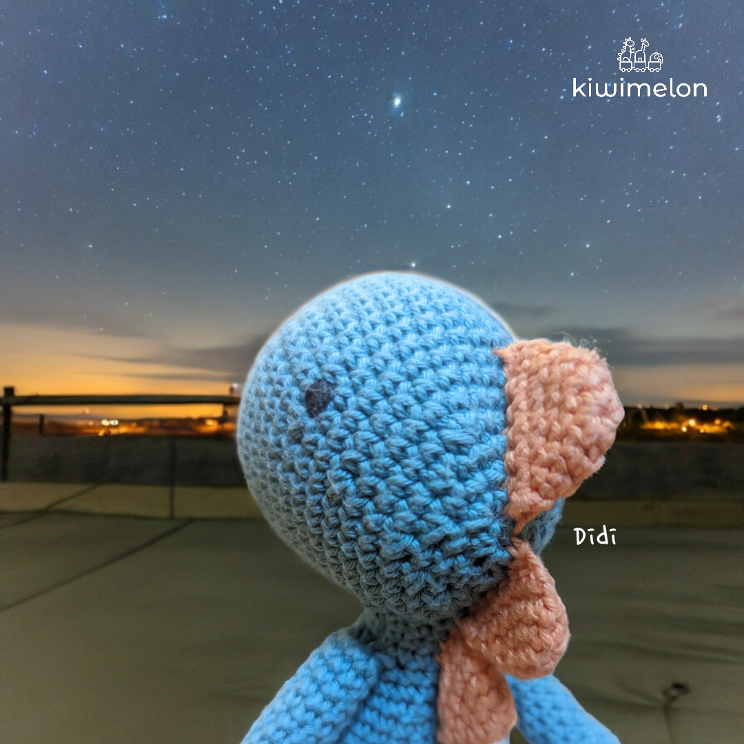 Didi: The Handmade Companion for Children - A Perfect Gift