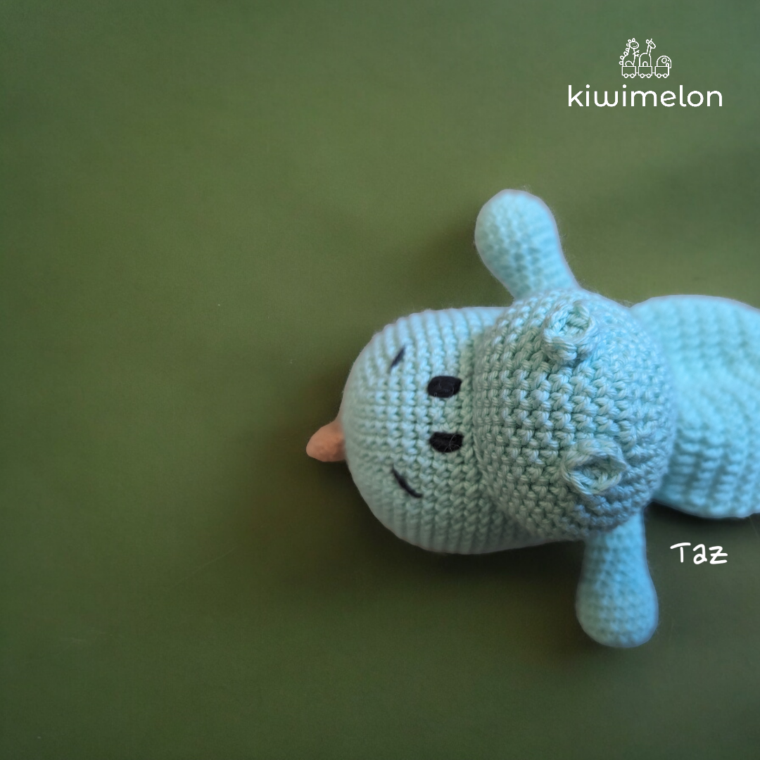 Taz: The Handmade security blanket for a Newborn baby - A Perfect Gift